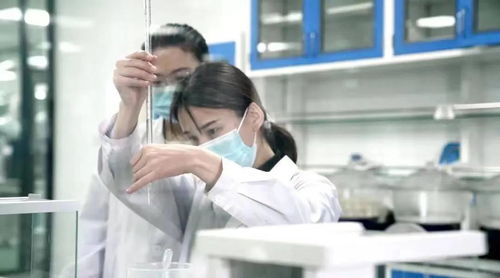 專訪「生生不息」 當寵物食品遇上非商業(yè)思維，一場關于愛與責任的奔赴